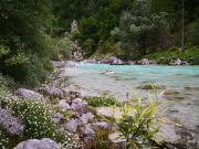 Soca river Slovenia
